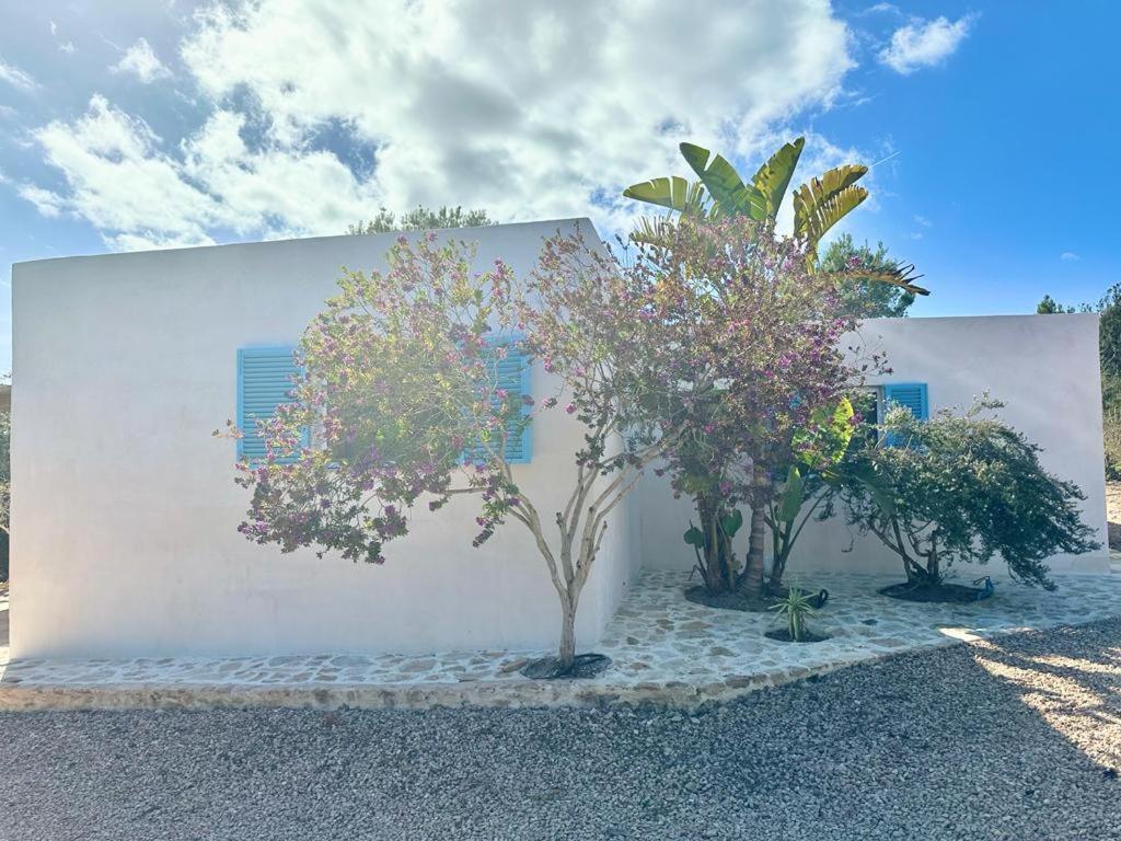 Casa Rustick Villa San Francisco Javier Buitenkant foto