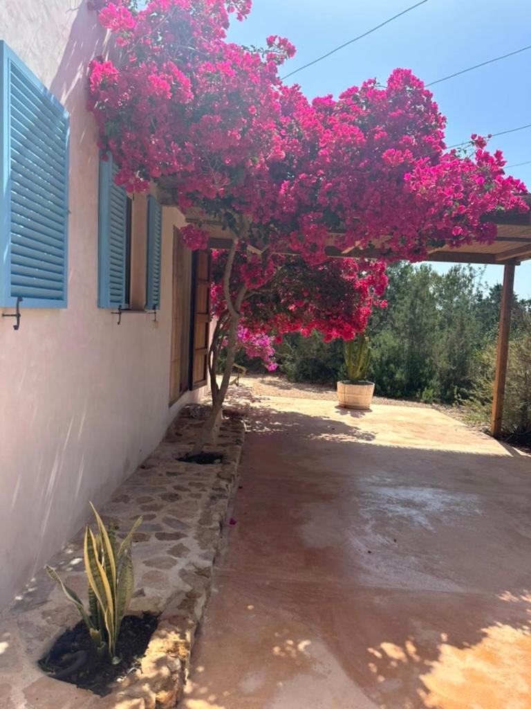 Casa Rustick Villa San Francisco Javier Buitenkant foto